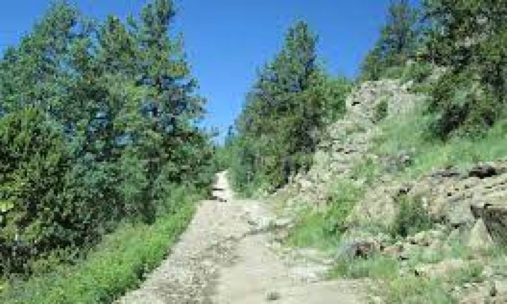 Alder Bench Trail